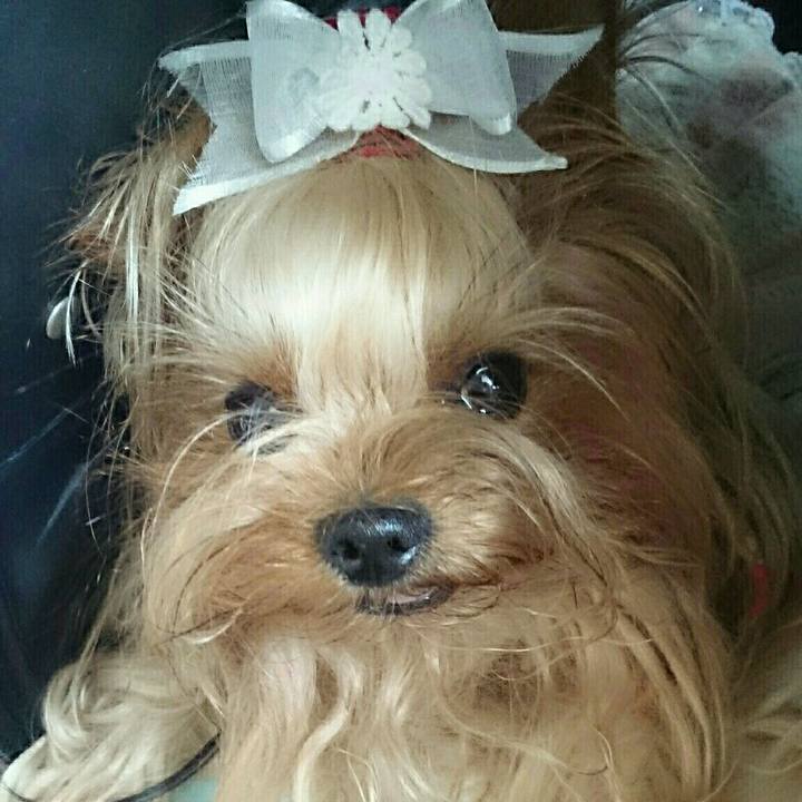 F376dcc7 8199 41f7 829b a4d9c28d0f0b 1538278619073