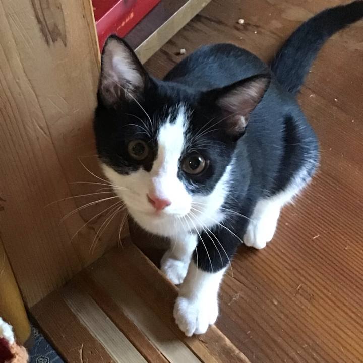 F3771981 bdbf 4aeb b3d8 6bc376fea8a3 1629972372543