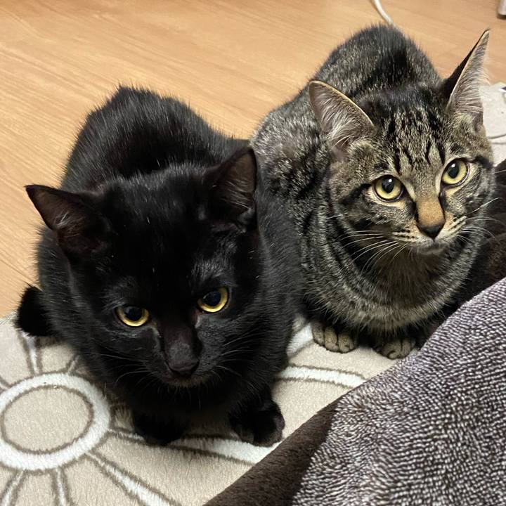 F37743fb eddc 4e9d 809e fcc83fa003c4 1615635348589