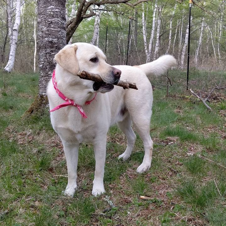 F3776dee c18c 401f 84e5 3cf8fe78a659 1590151112634