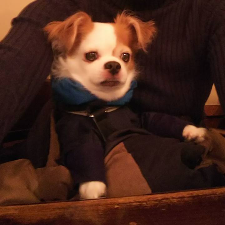 F37804c2 2ae5 4df7 abd1 e75a3ac5322c 1512817446241