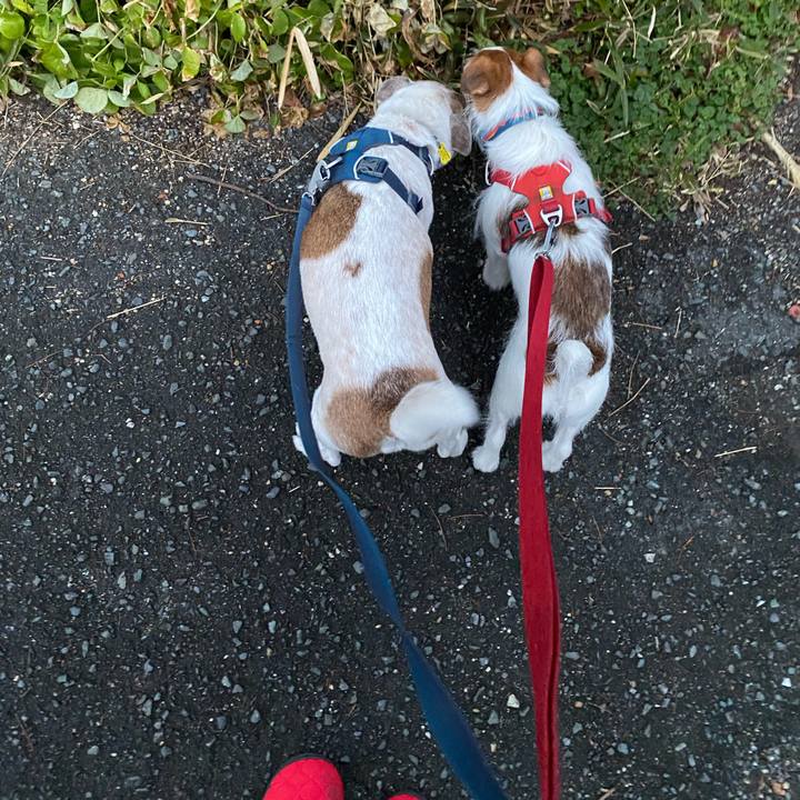 F3780884 34b7 4dfa bd21 45e265301201 1675290931548