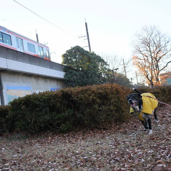 F3783fed eb26 468a a6c0 15aa952367fc 1766017774980