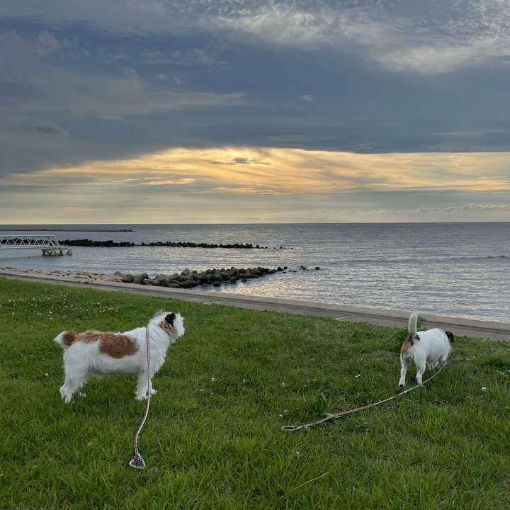 F3786b21 4a02 4394 90bf 7893849ac3a6 1660556479676