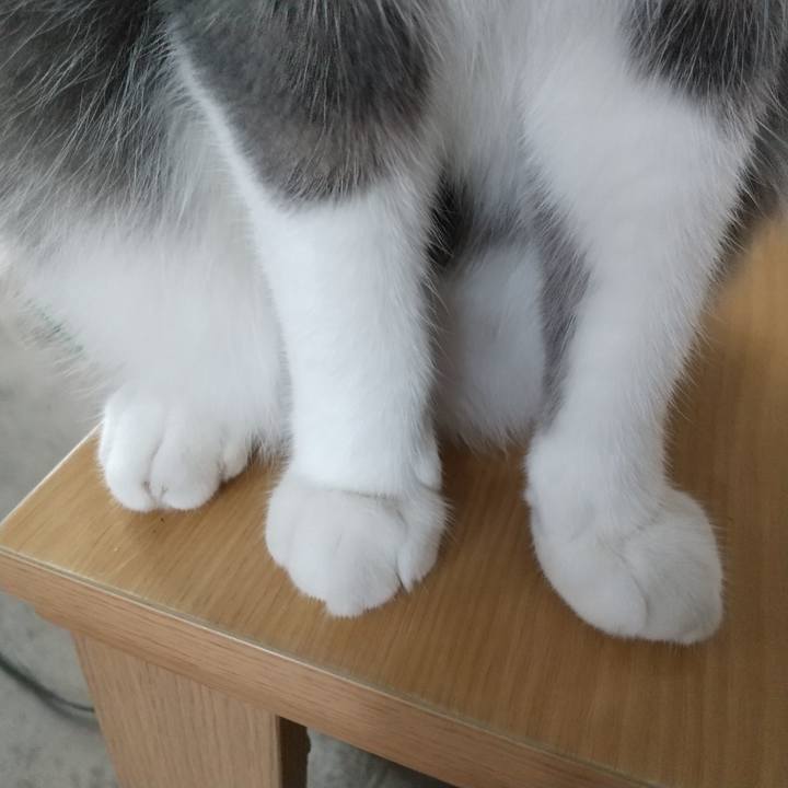 F3788673 fa20 4f4f 944e bc5fc7ef1b09 1601177860828