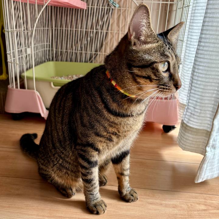 F3788d28 c6f4 44a3 9a29 c7ed8d20c3da 1758591371516