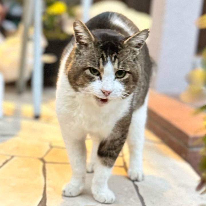 F3789398 e4ab 490f ad41 394bf013436a 1765544138131