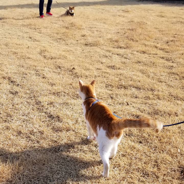 F378ac0a d443 4b72 a521 aa2d01c4dd46 1546768590020