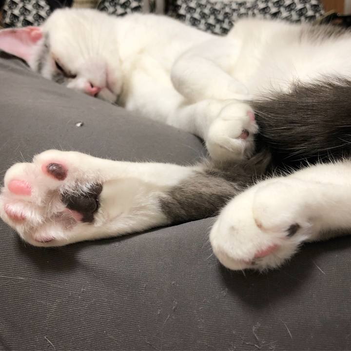 F378b199 f52b 4bcc a0d8 85bbc58c53b7 1554274169281