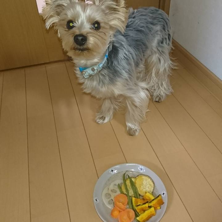 F378de42 cedc 4aa5 a60b f609594624f7 1513921833113