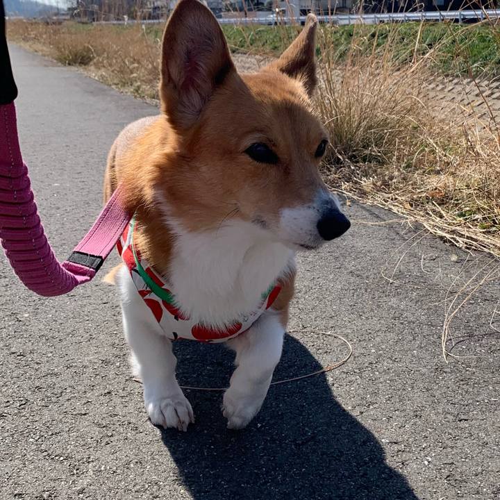 F378e017 325e 48e0 b59b fd9653682119 1707541257904