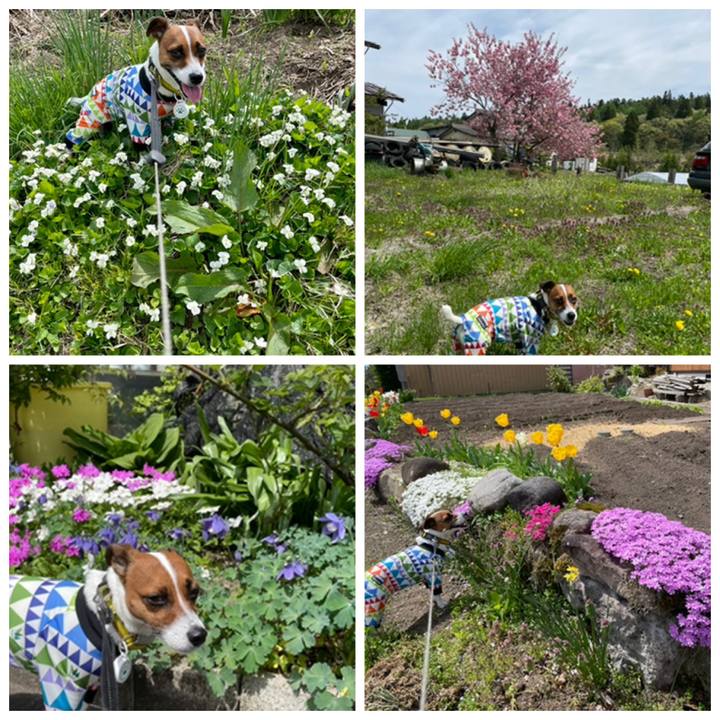 F378e1e8 8853 4c6e 8ef0 b8e08c3f091a 1652236195285