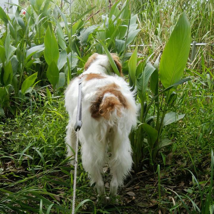 F379035e 3f03 4c6e a200 ff1dcbfaac66 1536838081546