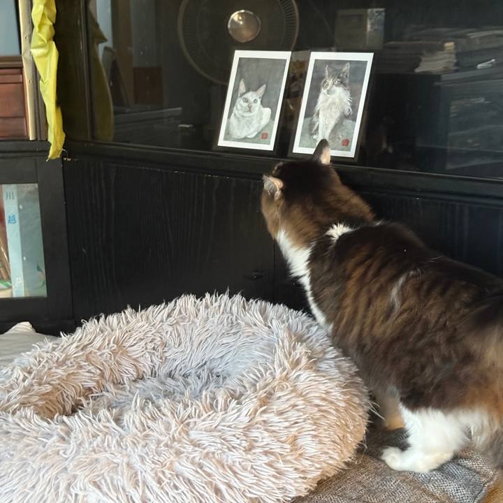 F37936d6 f64b 4f55 b082 4e23bbda9797 1739517514593