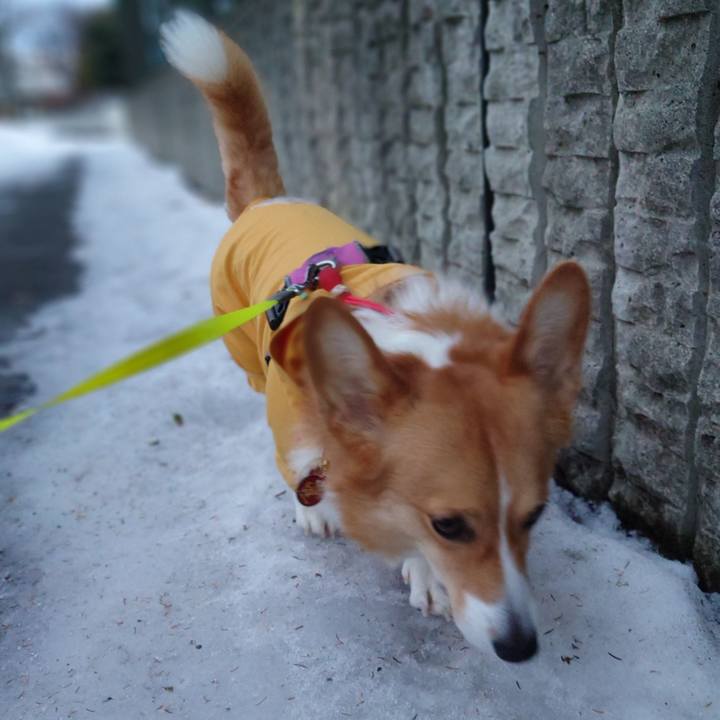 F379b243 f901 4fb7 957c 543e86650721 1766533705603