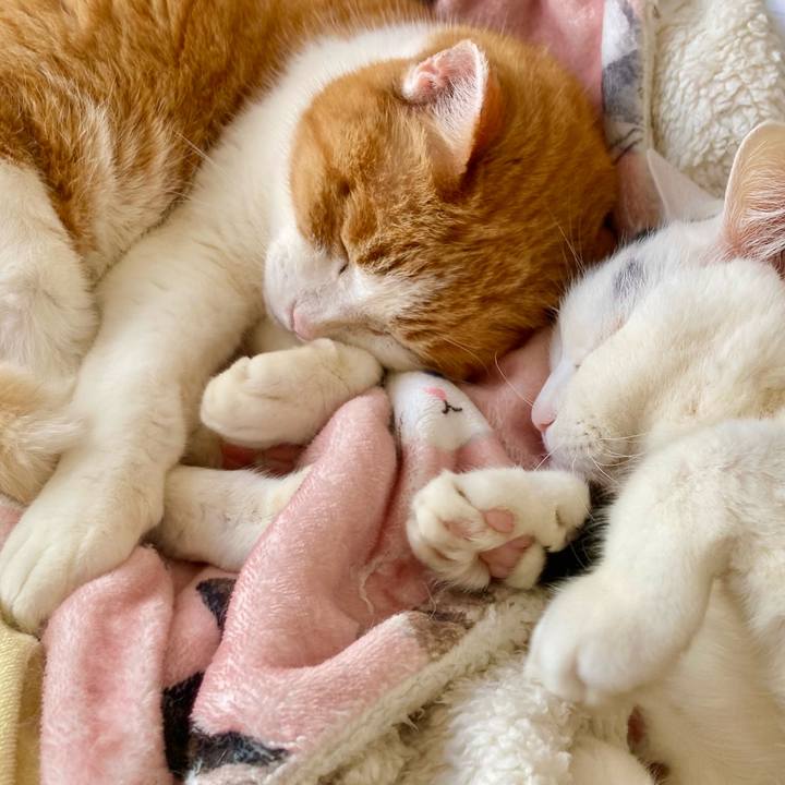 F379b2f9 c796 4c72 8a08 b007271068df 1768558314156