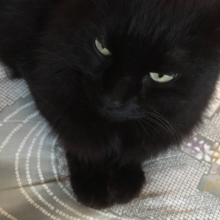 F379b3dd 5353 4b8e 82da bf147953a586 1541315014574