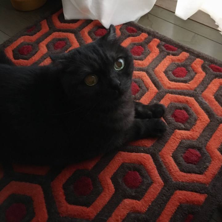 F379c654 01dd 4122 bbd6 856f6e610bbe 1562396930735