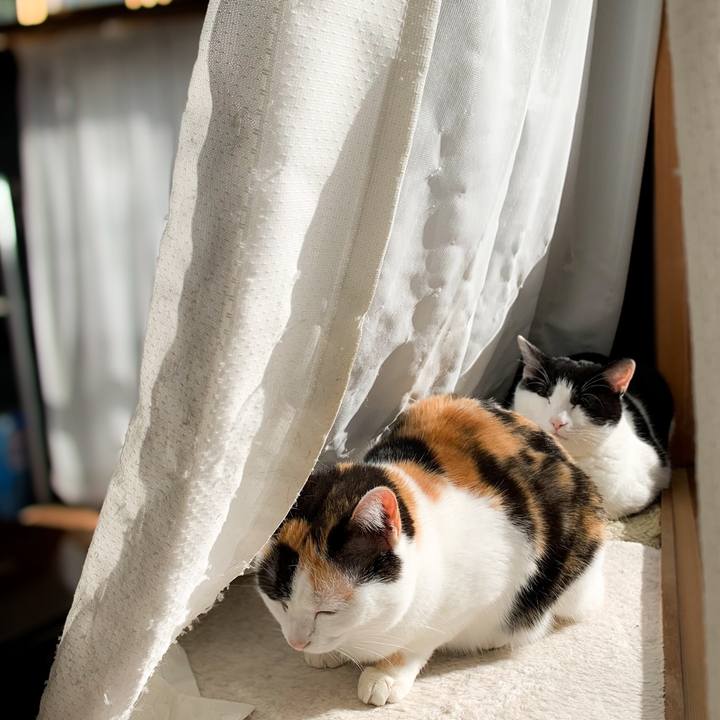 F379d50b 37fb 44ea a991 965df5e73519 1587864754255