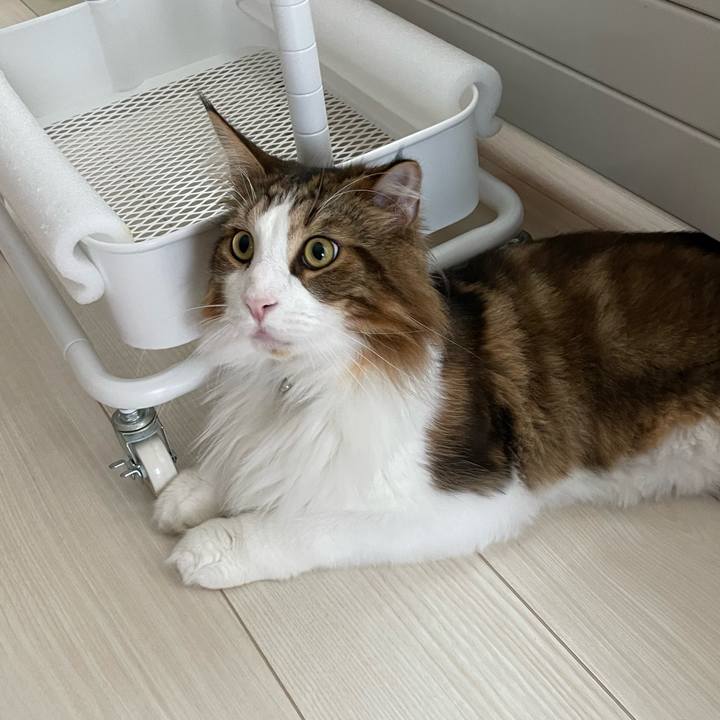 F379eeb4 b299 46ce ac4e 56cd37880acc 1662327757576