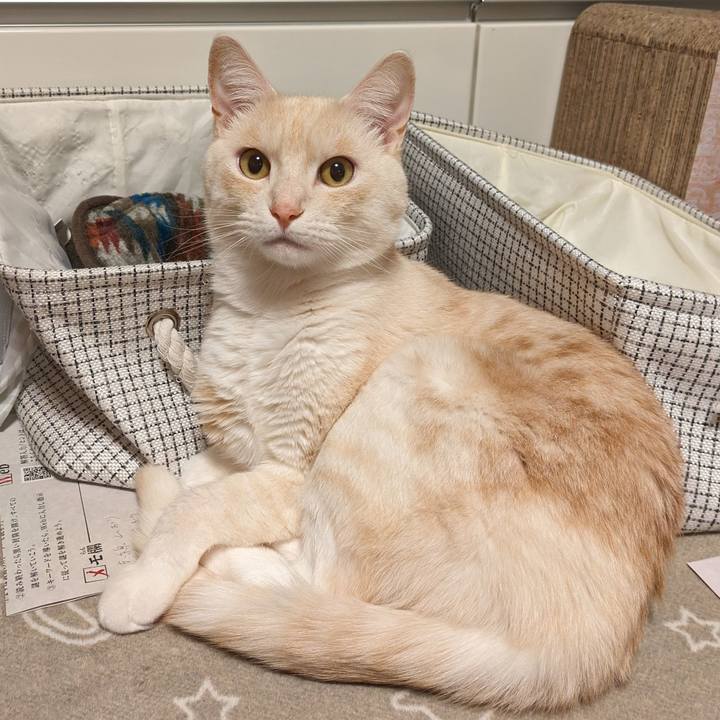 F37a2097 346b 4603 860f 62af63379403 1708161297514