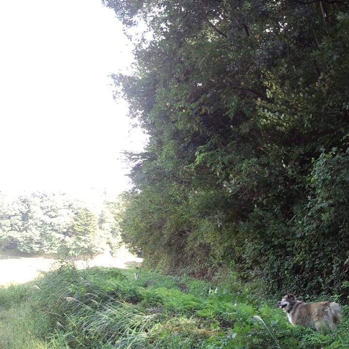 F37a211e 7f24 4653 8eb6 d73d865cfe64 1585377688264