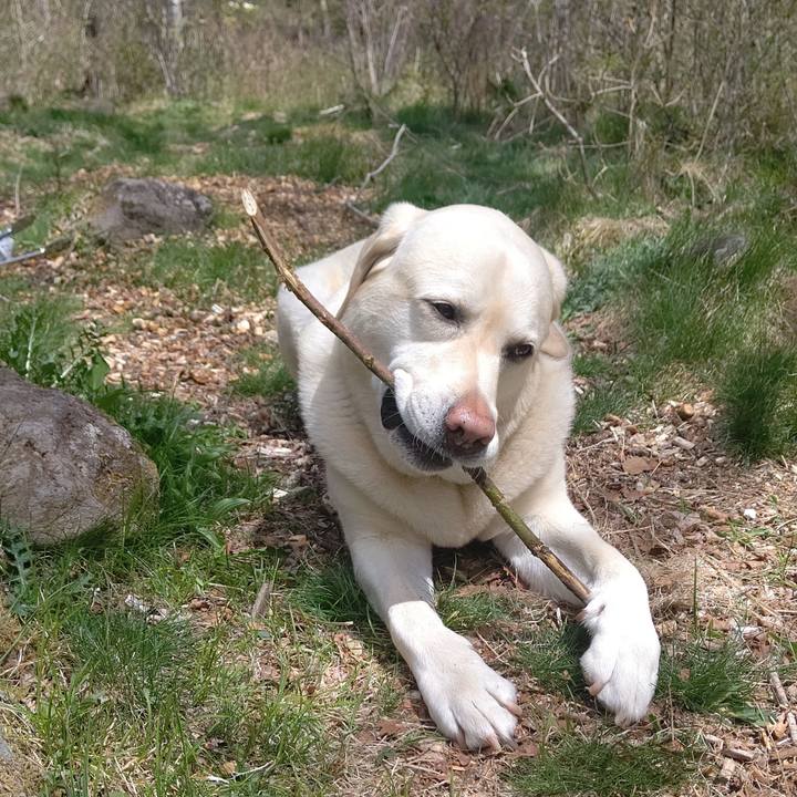 F37a3474 694b 41b0 aa01 48a9ec92df6f 1683793522656