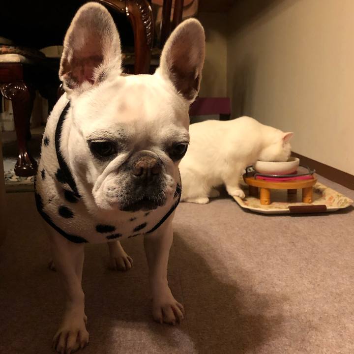 F37a5232 3fcc 49dc b61e 83866a34ac60 1609406051207