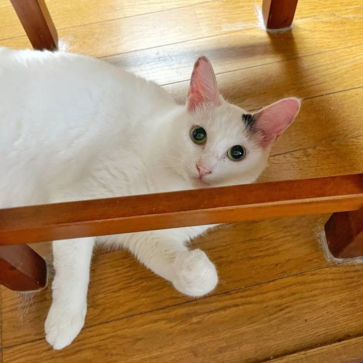 F37a5f3a 9162 480a 989d e0cc3dfbeb6f 1752447566660