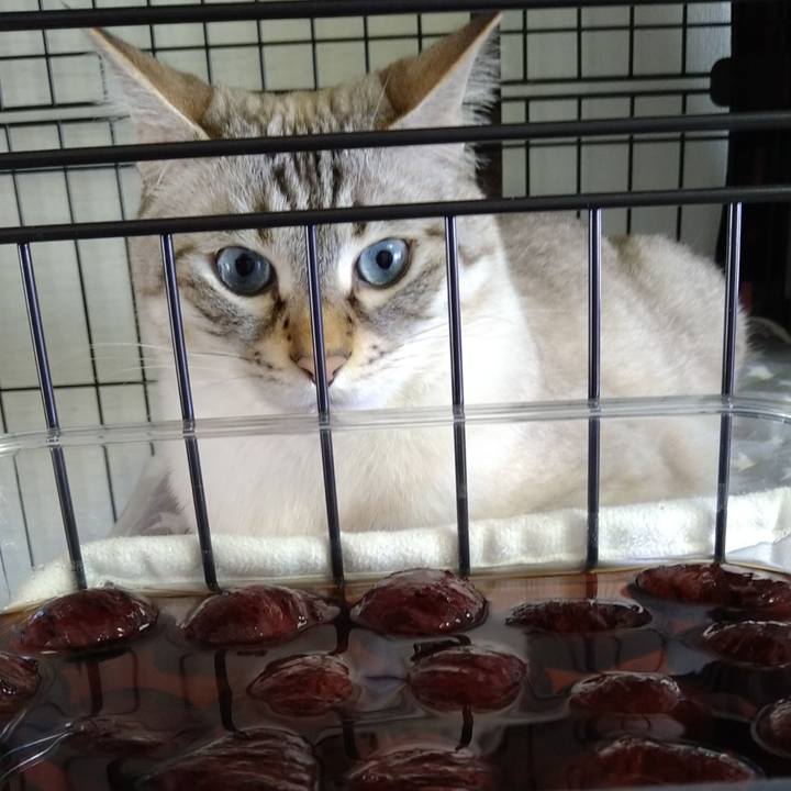 F37a606a 73c5 40d7 a887 b67d8c6acec5 1664668471331