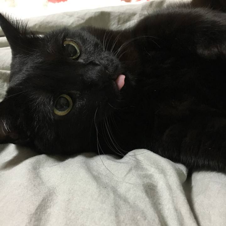 F37a609f c12e 416b b602 cb012afc89c5 1510317265371