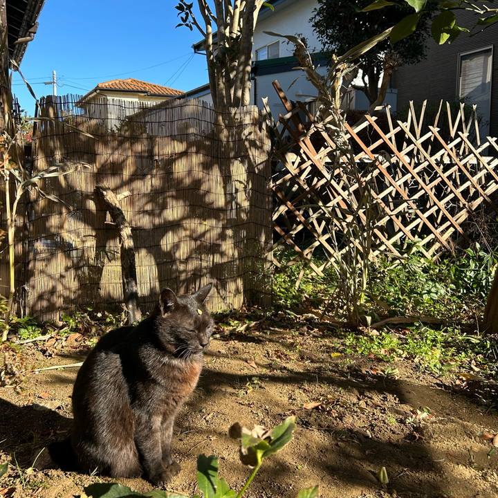 F37a62ea 0eb5 4e2e af68 8883b2b3cd06 1735979379139