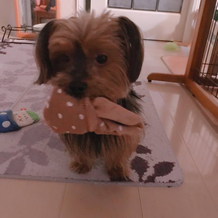 F37aa110 97fa 4191 9692 3e8595a7c666 1530001812456