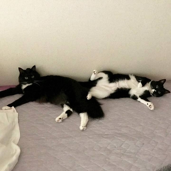 F37aa4c5 13a1 4c6b ab9b 1f2cdd505f24 1565308947967