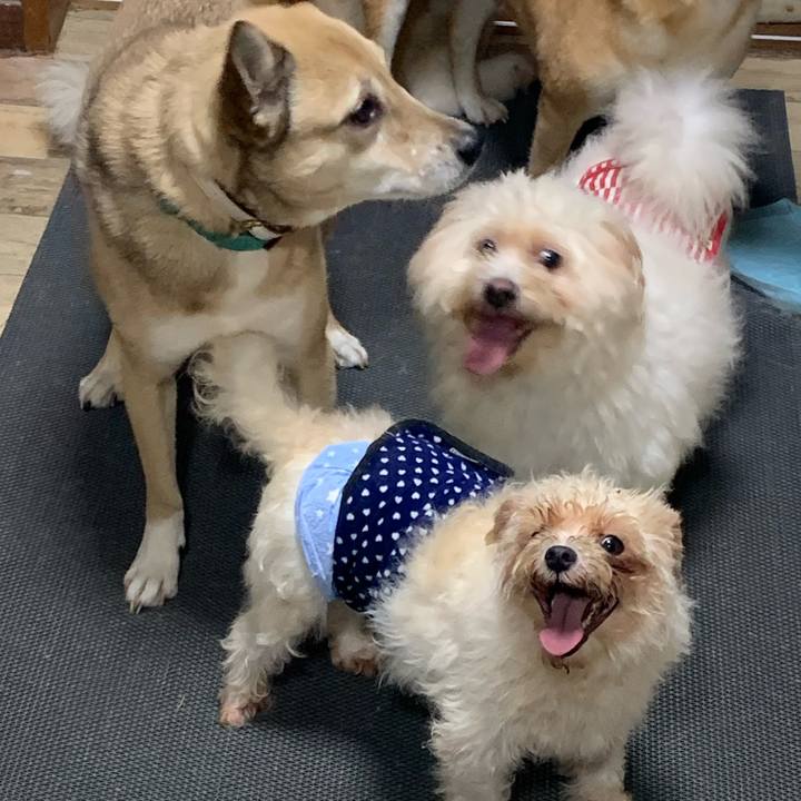 F37ac18b 3c11 488d 87db 7df889571ef3 1656819257623