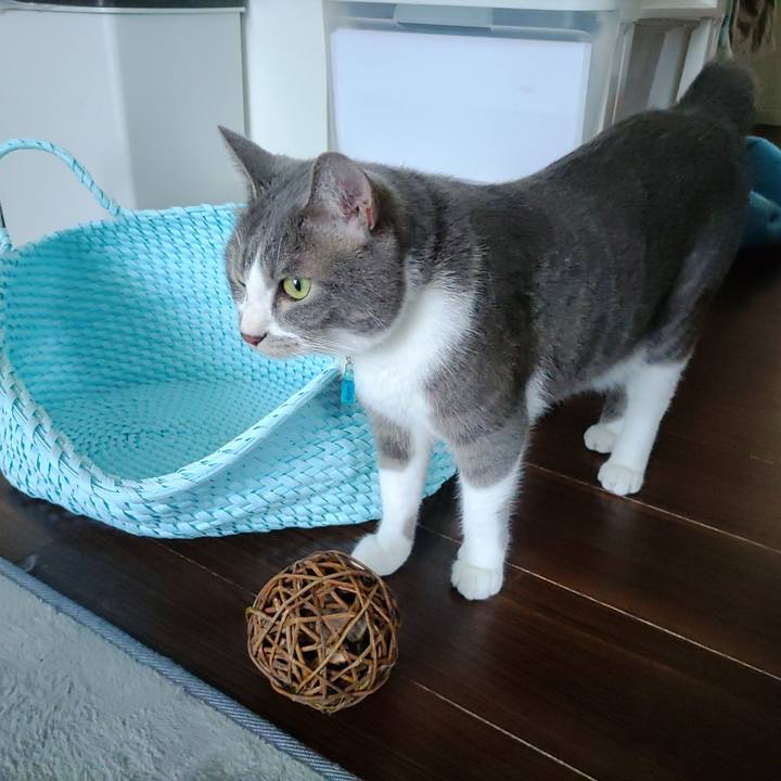 F37ac4df 5398 42dc 9829 bff66f2841a8 1656029900009