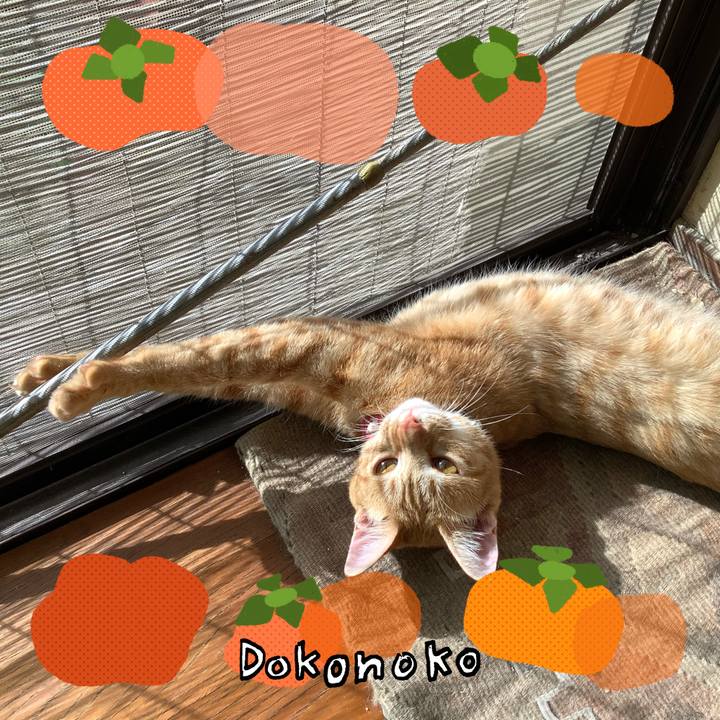 F37ac530 708e 44cb aa8f d5bcc0ffd673 1761117292622