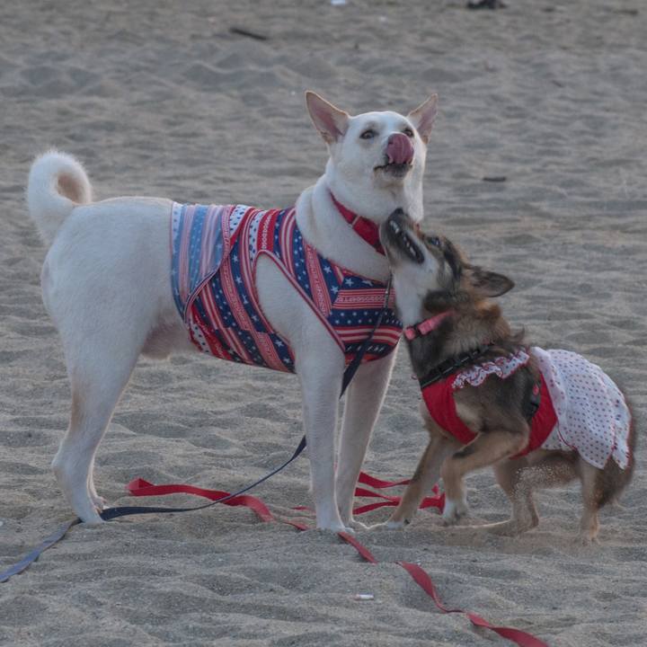 F37ac6f3 55b5 4317 9d88 5a6723c486ed 1531870336579