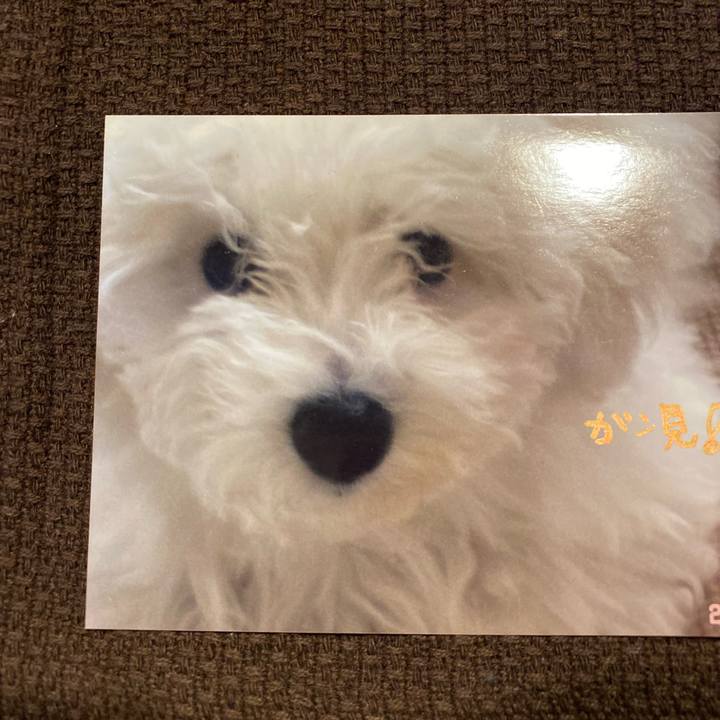 F37af8f9 6a9c 4700 847c 50d648749ec1 1768462569441