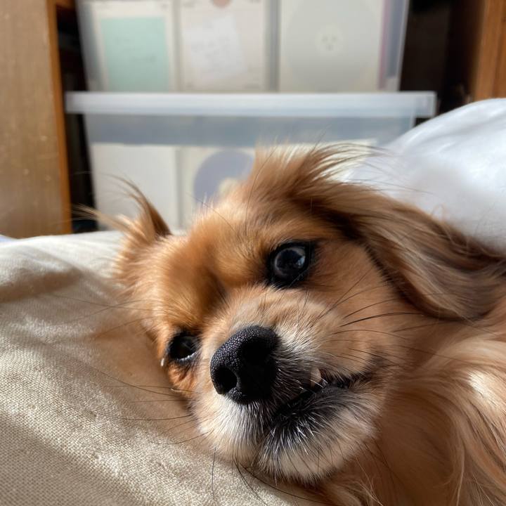 F37b0cae 75c1 470e a343 3d9cb7beae9d 1582265229283