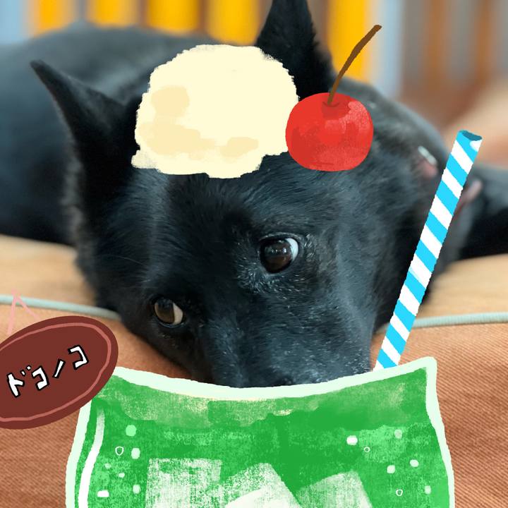 F37b151b 5faf 402b bda6 416af6d5e8fa 1755142876416