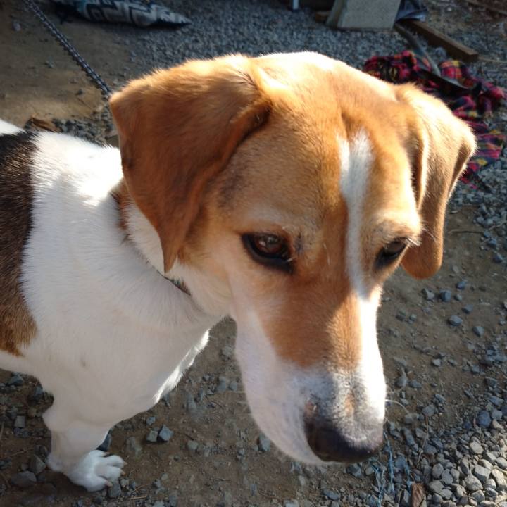 F37b1ef2 3835 4170 8ad6 5b35a6b30568 1613201426604