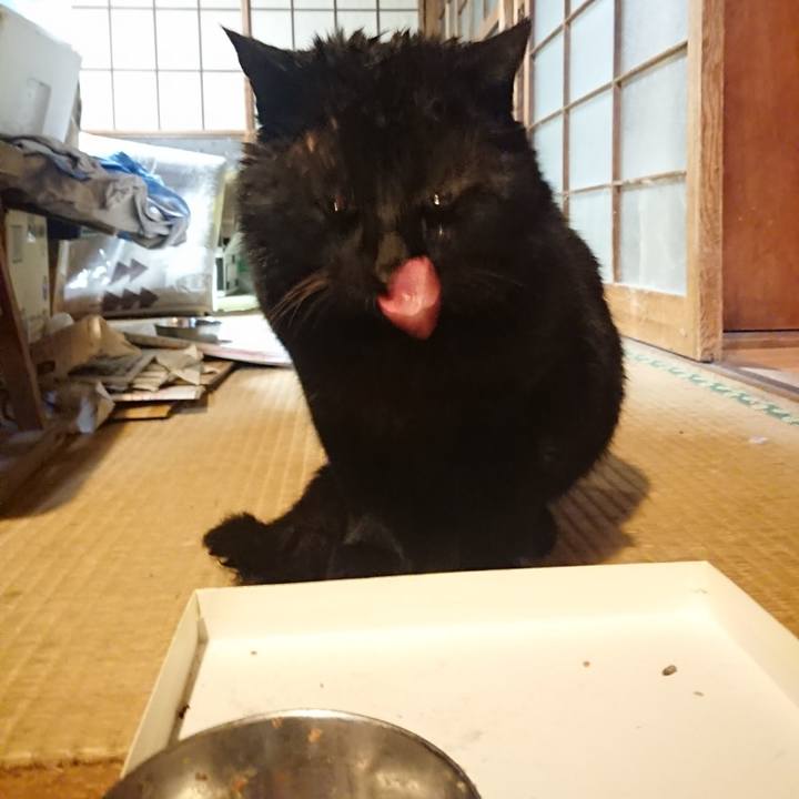 F37b30a8 fe27 4951 9f4c 7681495a479d 1615804500182