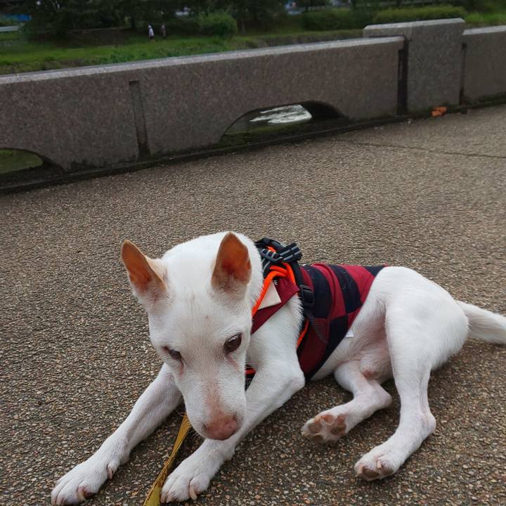 F37b4270 8346 43b8 bd52 5baacd010bec 1569111883286