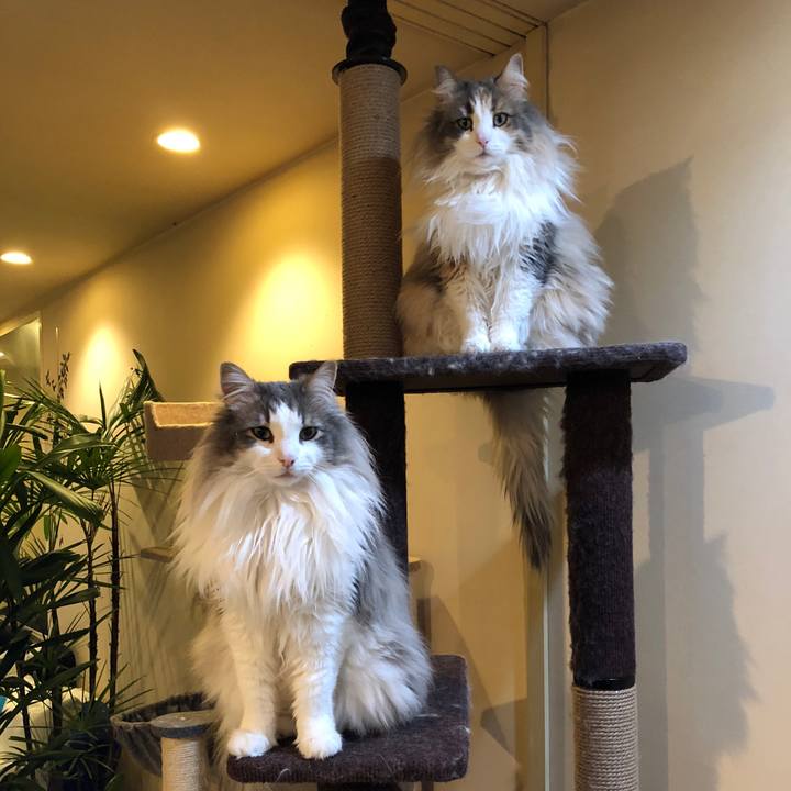 F37b8a2a 371a 40a4 9929 1f33887181f2 1514797875648