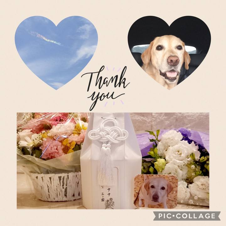 F37b9b9c 2f64 4bf7 b6ce 5ac9759109ee 1683465558422