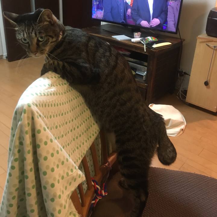 F37ba249 e521 444f a2ee 3b696eb4a2a6 1577755986886