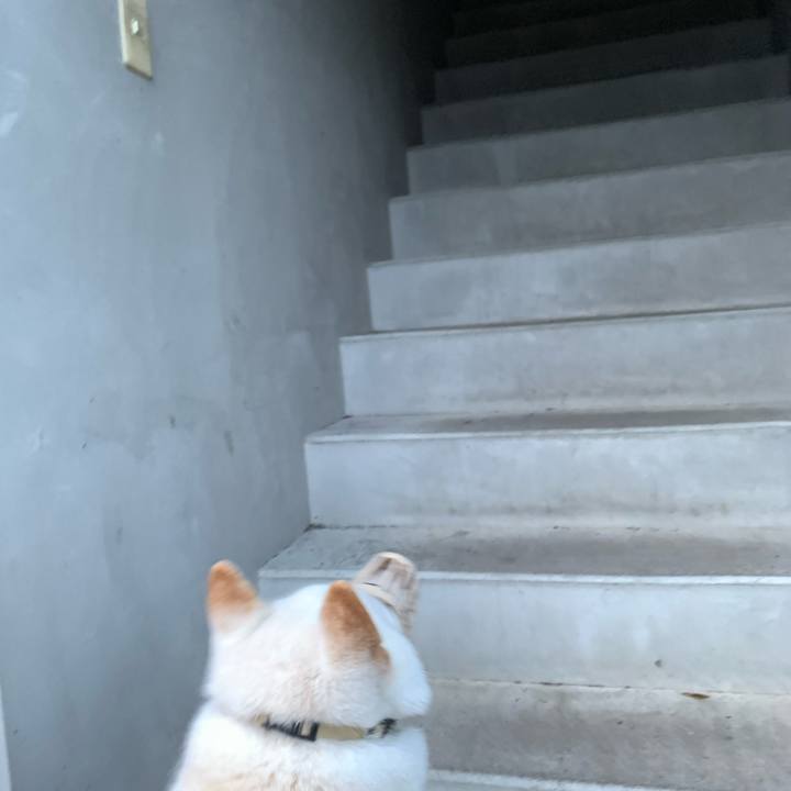 F37bb54d ced8 4e57 a817 aab8ec613260 1604181277077