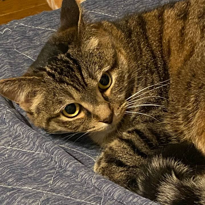 F37bdb87 60ad 4314 a648 8699f26f1570 1624108821067