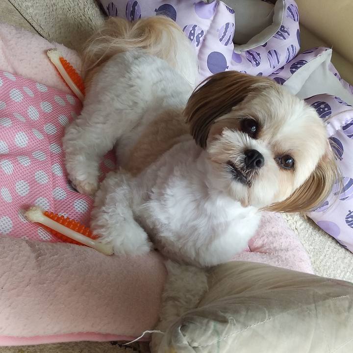 F37c1467 4cd3 452f 9be9 88bfce1960f0 1596860385962